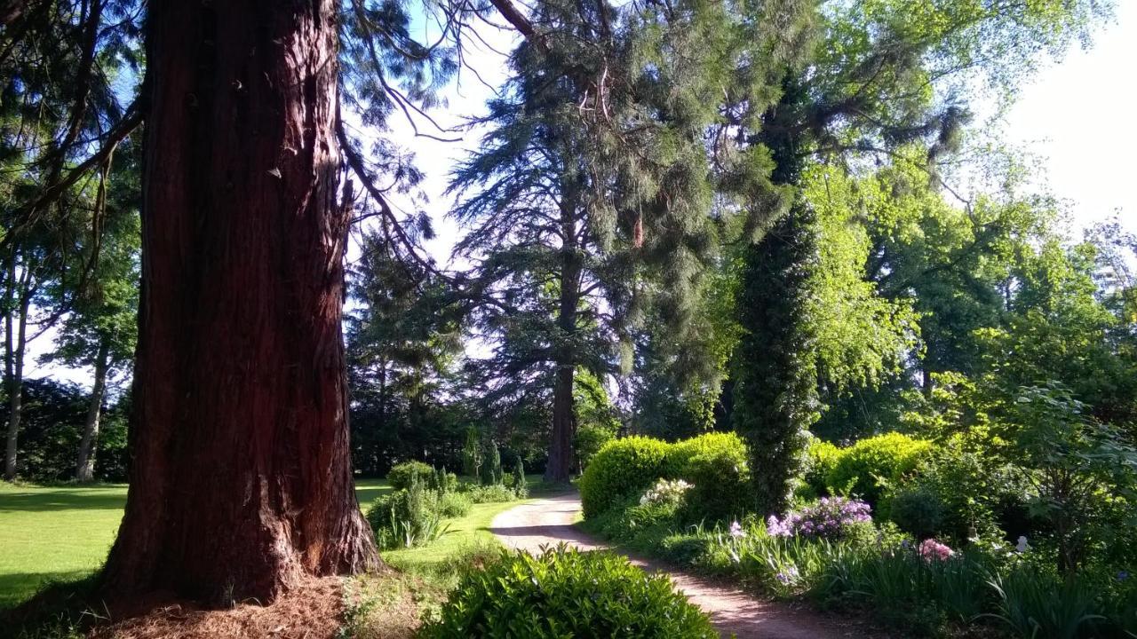 Saint-Rémy-de-Chargnat Chateau De La Vernede, La Grande Vernede מראה חיצוני תמונה